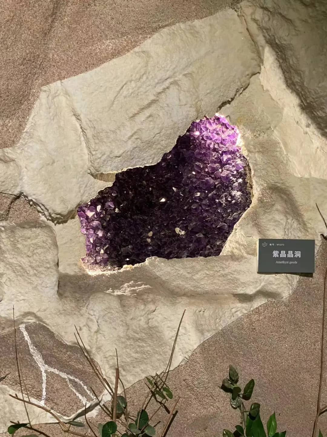 1725087613297360.png